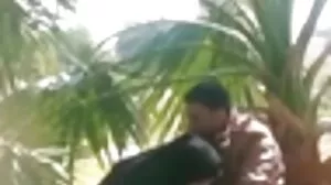 루시 레노어