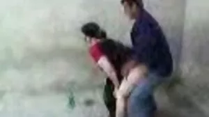 롤리