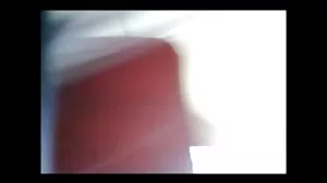 몰리 블리스