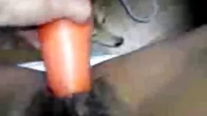 윌로우 디바인
