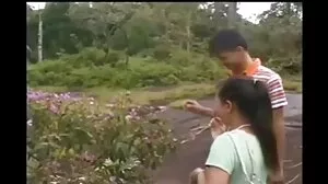 메디아