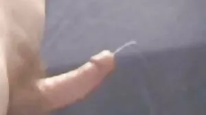 앨리슨 토르